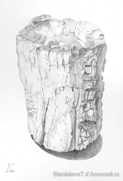 триас, мезозой, окаменевшее дерево, рисунки