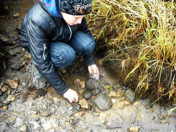 юные палеонтологи