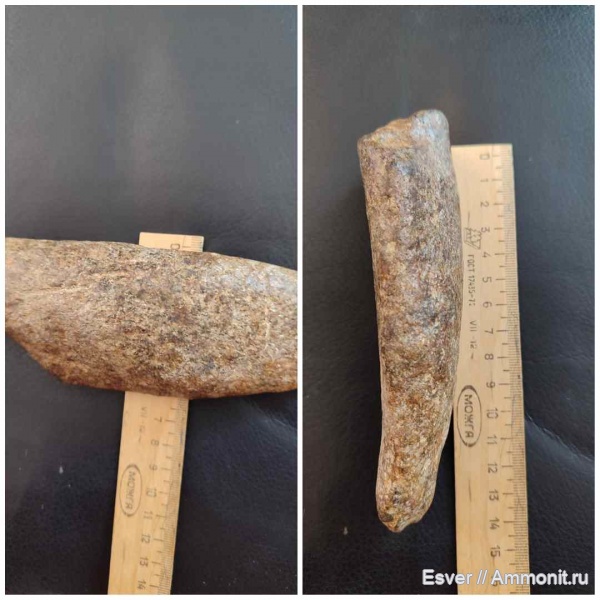 цетотерий кит