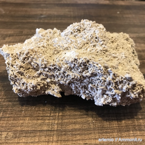 Наши находки на Дюках