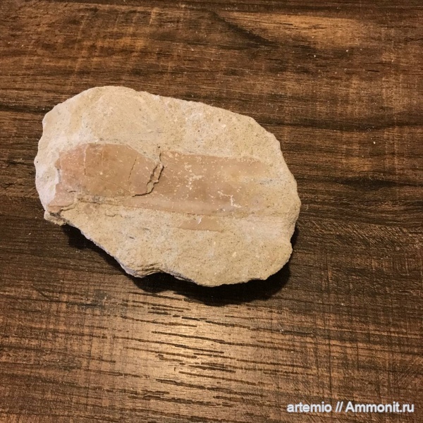 карбон, Дюкинские карьеры