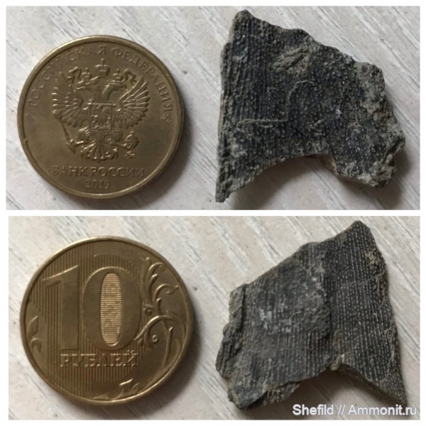 Крым, Судак