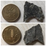 На определение: рак? рыба или ещё что то другое?