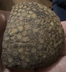 Каменный букетик