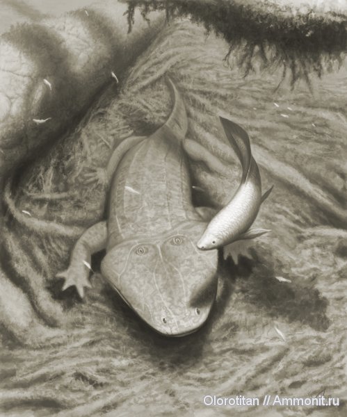 палеоарт, Parotosuchus, Ceratodus, лабиринтодонты