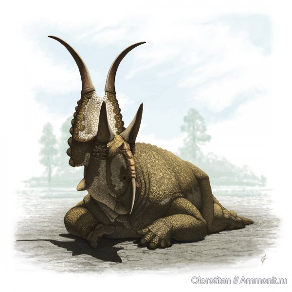 динозавры, цератопсы, Diabloceratops