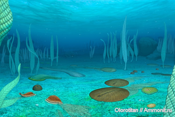 венд, Dickinsonia, Solza, Tribrachidium, Charnia, Kimberella, Andiva, Yorgia, Karakhtia