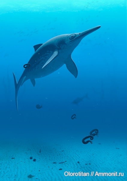 ихтиозавры, нижний мел, Leninia, Lower Cretaceous