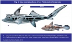 Ischyodus и Elasmodectes