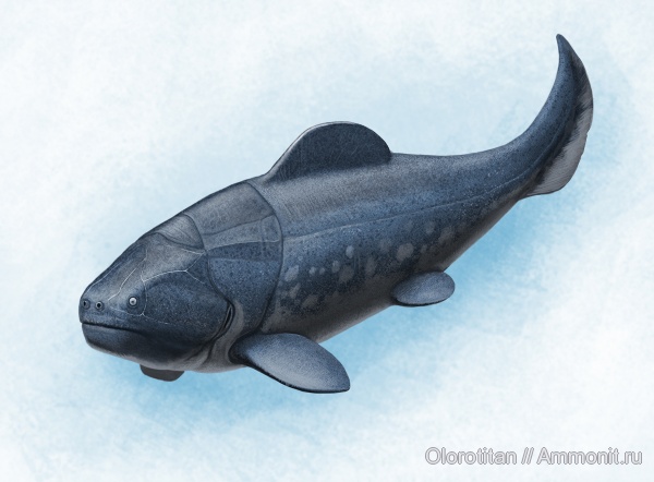 Dunkleosteus