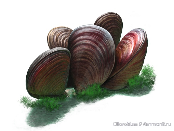 Каргортский