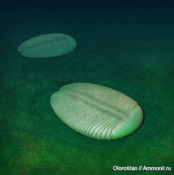 венд, Proarticulata, Ivovicia, Vendian