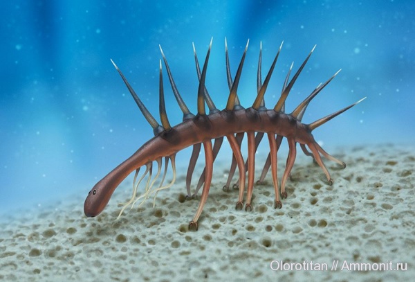 Cambrian, Hallucigenia, Burgess Shale