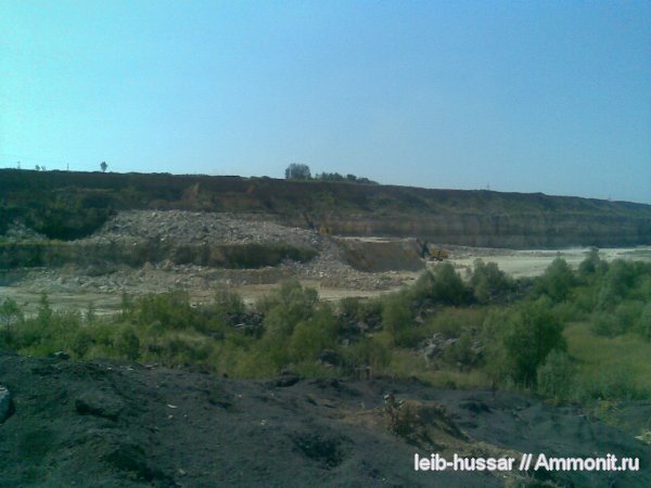 карбон, Домодедовский карьер