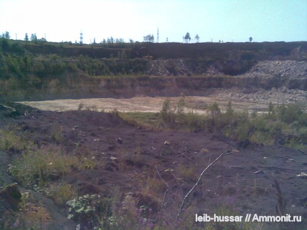 карбон, Домодедовский карьер