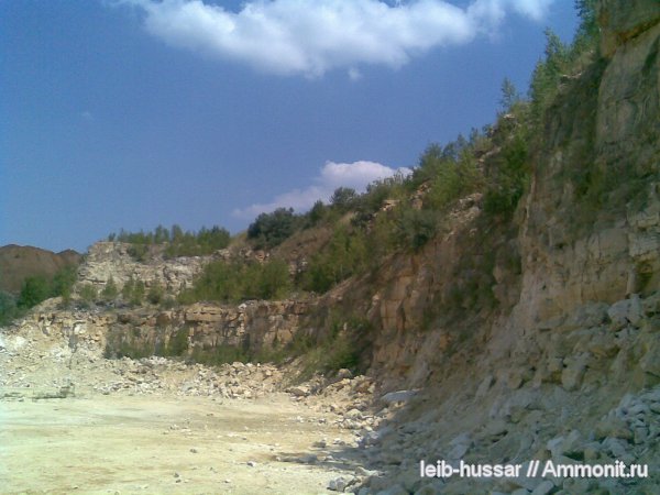 карбон, Домодедовский карьер