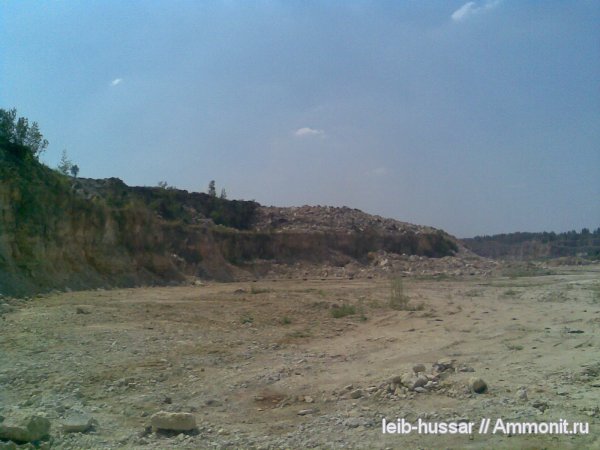 карбон, Домодедовский карьер