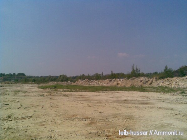 карбон, Домодедовский карьер