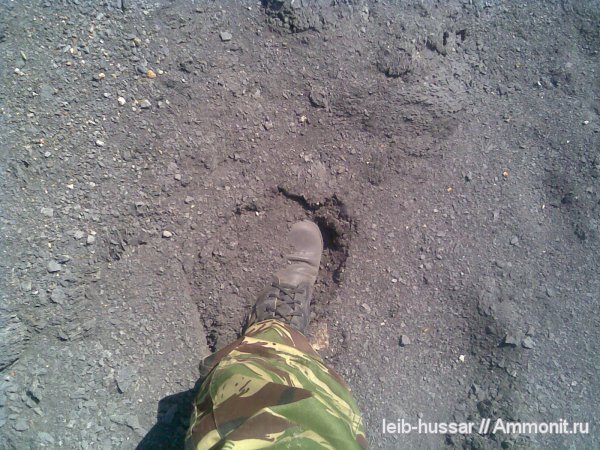 юрский период, Домодедовский карьер, Jurassic