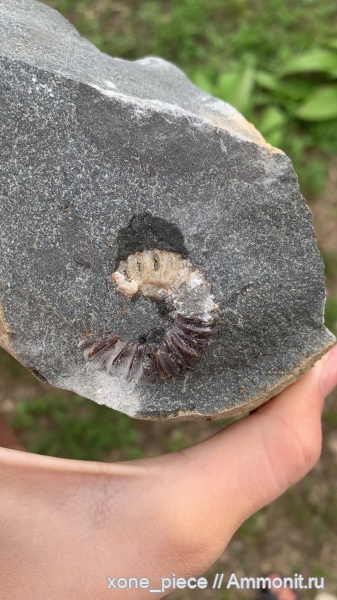 первая находка