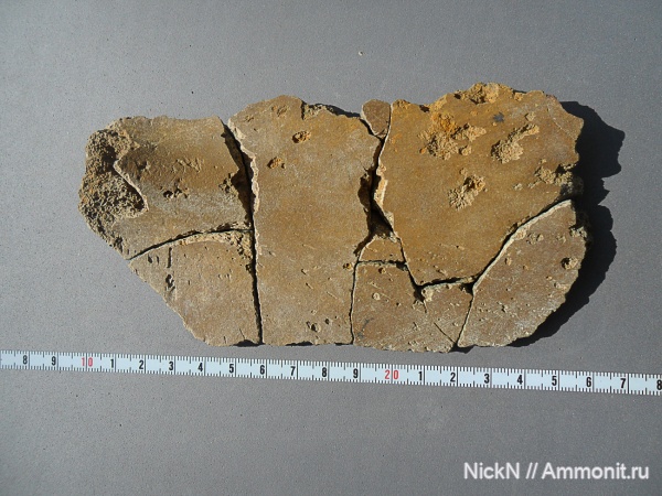 мел, сеноман