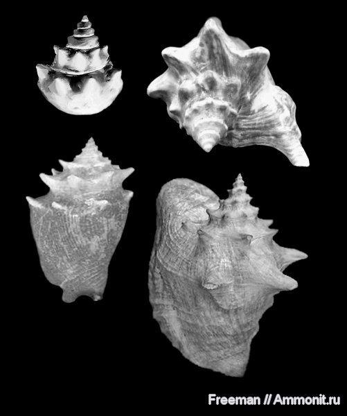 реконструкция