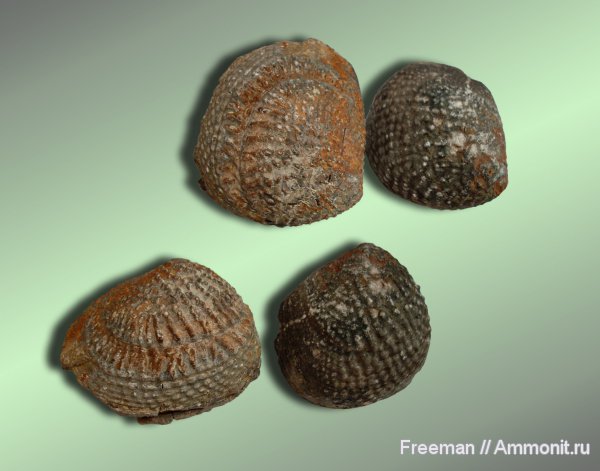 Таджикистан, р. Нурек