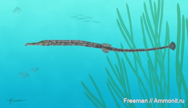 Ихтиофауна палеогена Северо-Западного Кавказа