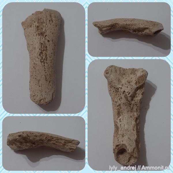 химеры, Шацк, Малопроломский карьер