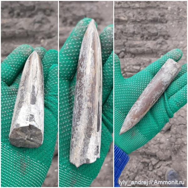 белемниты, Пески