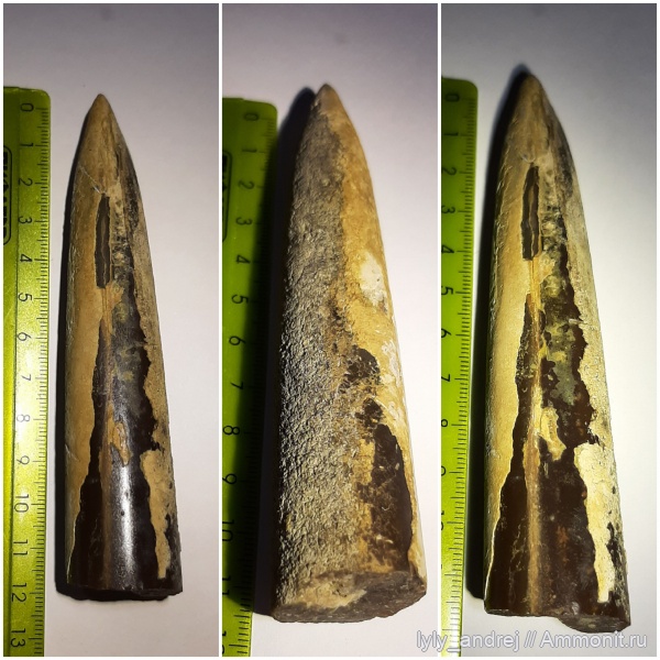 белемниты, Пески, юрский период, отвалы