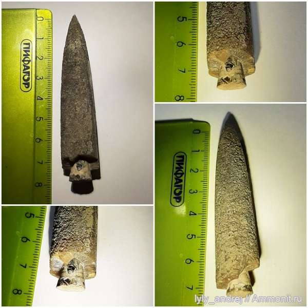 белемниты, Пески, юрский период, фрагмоконы, отвалы