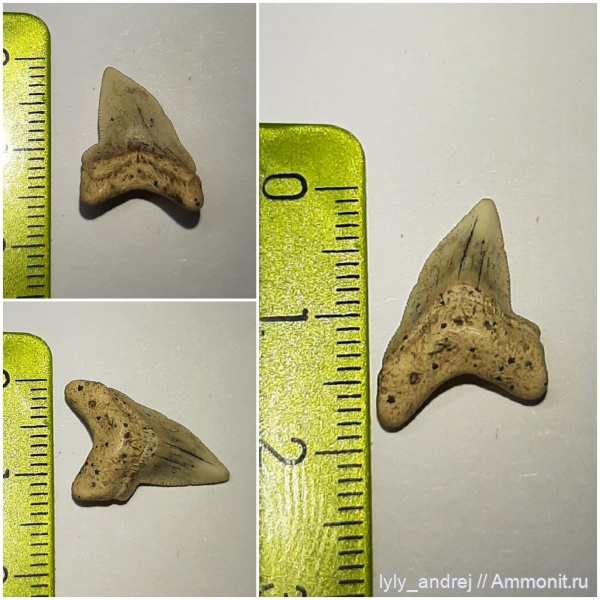 Малый Пролом (Шацк)