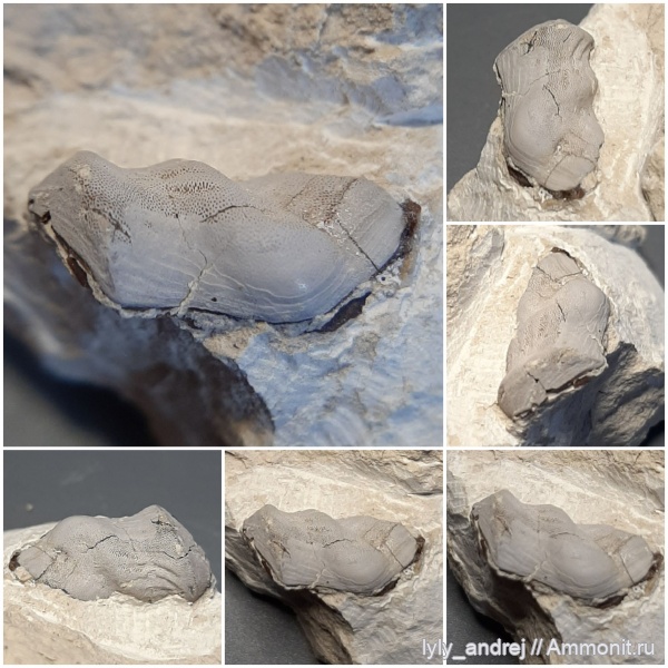 Великолепия Заборья!!!