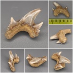 Очередная странность Очередная странность