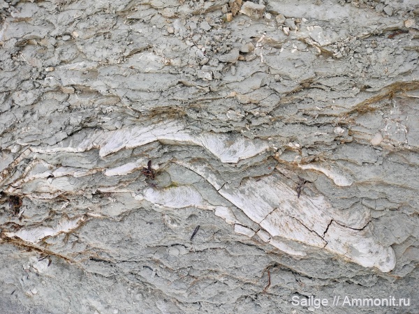 ихнофоссилии, фанерозой