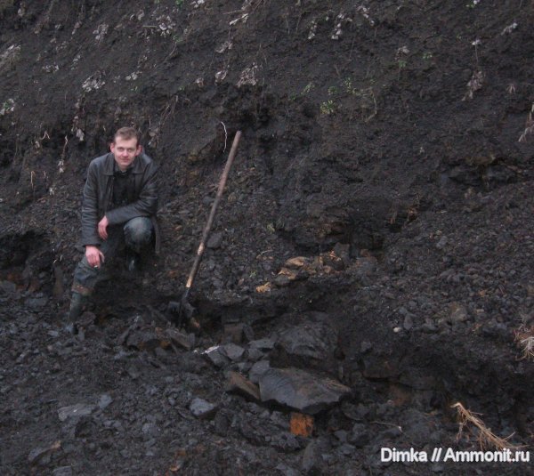 Бронницы, оксфорд, Euaspidoceras, Рыбаки, Perisphinctes, Oxfordian