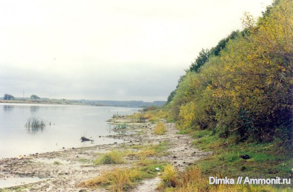 келловей, Алпатьево, р. Ока, Callovian, Middle Jurassic