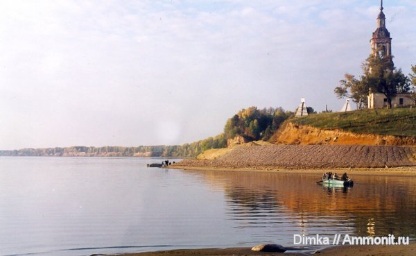 аммониты, юра, Мостово-Василево, средний подъярус волжского яруса, Глебово, Ammonites, Jurassic