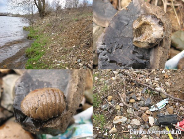 Кимры, р. Волга