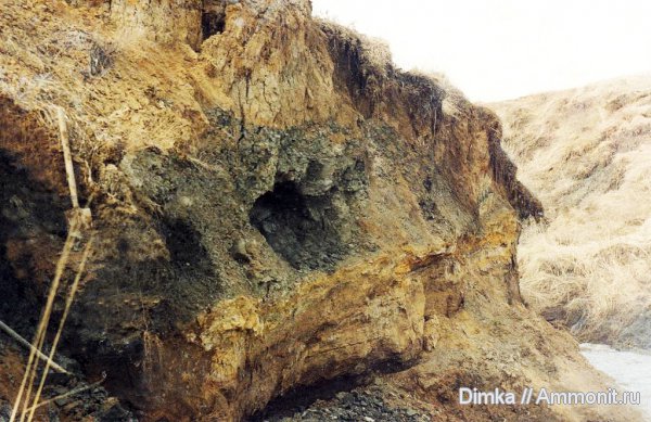 келловей, Рязанская область, Дядьково, Callovian, Middle Jurassic