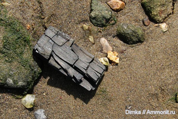 юра, Рыбинск, Переборы, Jurassic