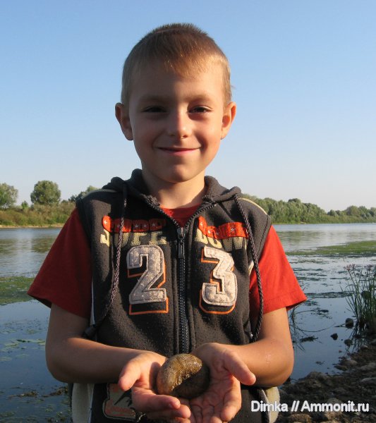 юра, нижний келловей, келловей, Никитино, Sigaloceras, юные палеонтологи, Callovian, Jurassic, Middle Jurassic, Lower Callovian