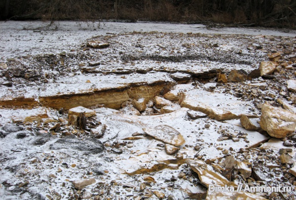 карбон, палеозой