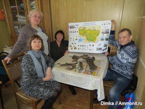 окаменелости, музеи, мезозой, палеозой, кайнозой, Владимирская область