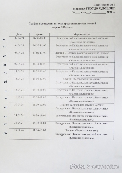 окаменелости, аммониты, белемниты, брахиоподы, гастроподы, трилобиты, морские лилии, кораллы, Россия, наутилусы, зубы, двустворки, выставки, окаменевшее дерево