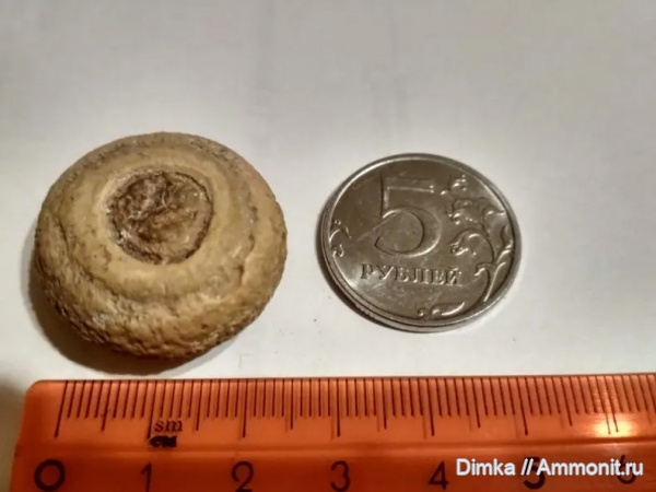 карбон, Владимирская обл