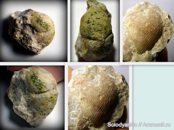 карбон, Урал, р. Реж, серпуховский ярус, исетская свита