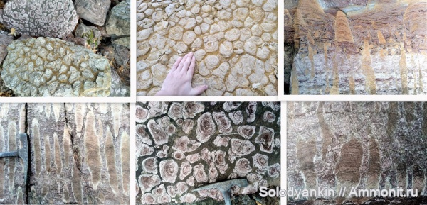 строматолиты, Урал, рифей