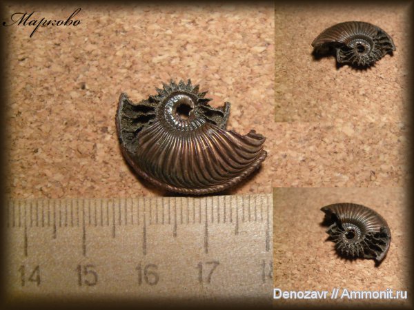 препарирование